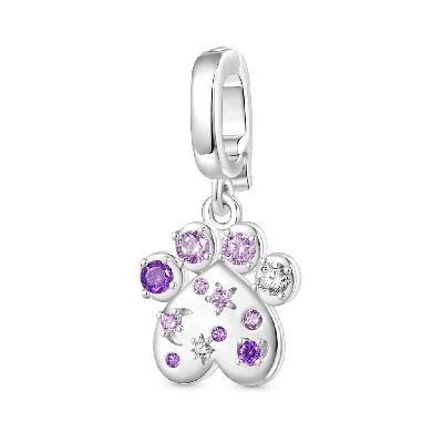 Pet Paw Clasp Clusters Charm
