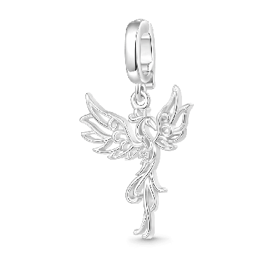 Phoenix Clasp Clusters Charm
